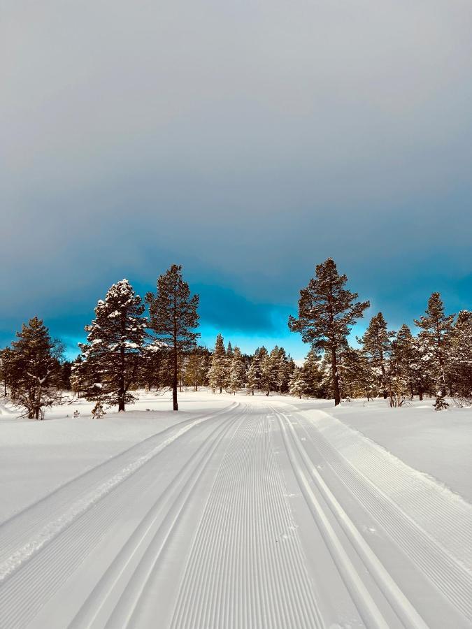 Flott Leilighet Pa Haugen I Sirdal Tjorhom Экстерьер фото
